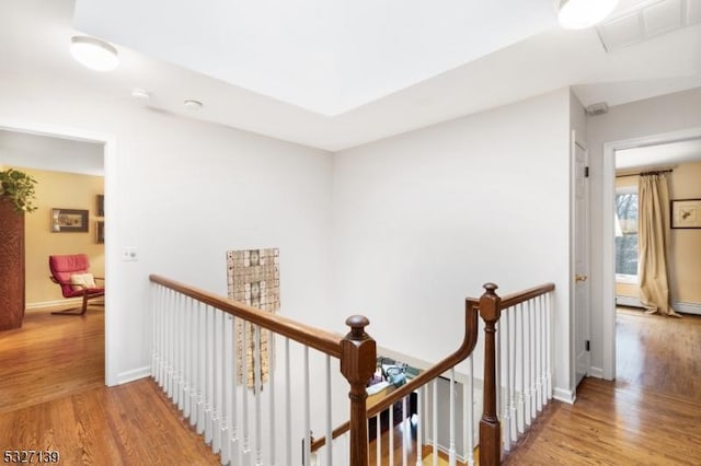 hallway featuring wood-type flooring