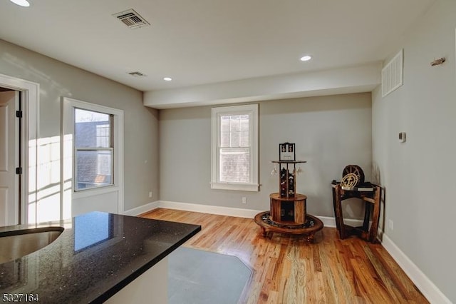 interior space with wood-type flooring