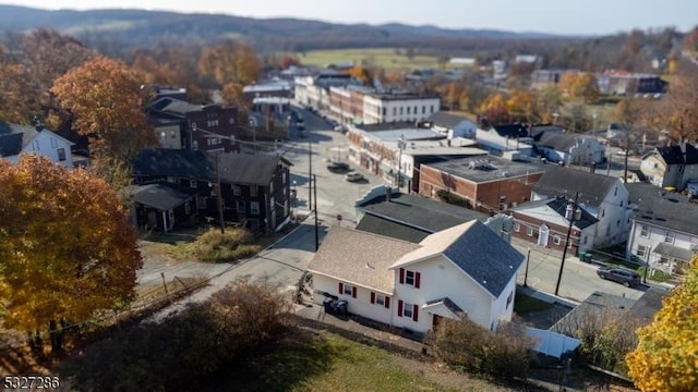 bird's eye view