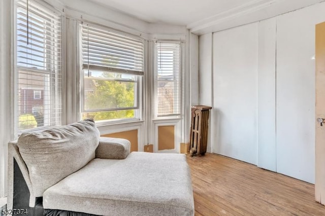 living area with radiator, a wealth of natural light, and hardwood / wood-style flooring