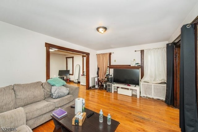 living room with wood-type flooring