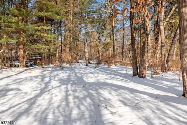 view of yard covered in snow