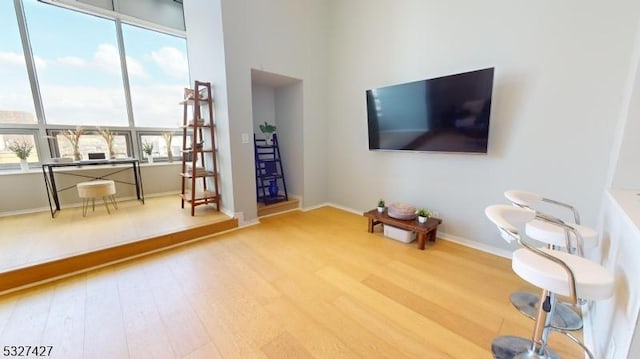 living room featuring hardwood / wood-style flooring