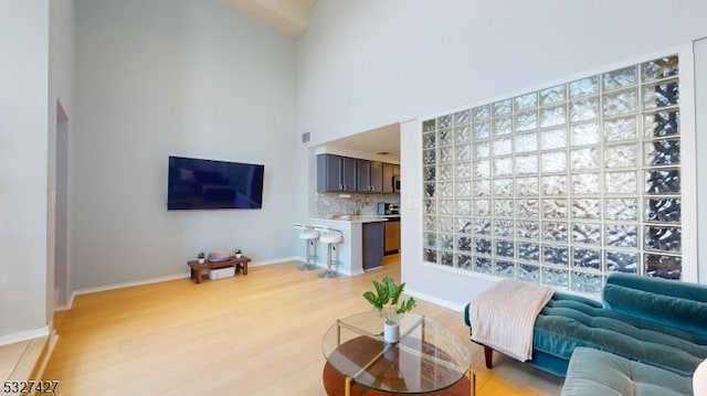 living room with light hardwood / wood-style floors and a high ceiling