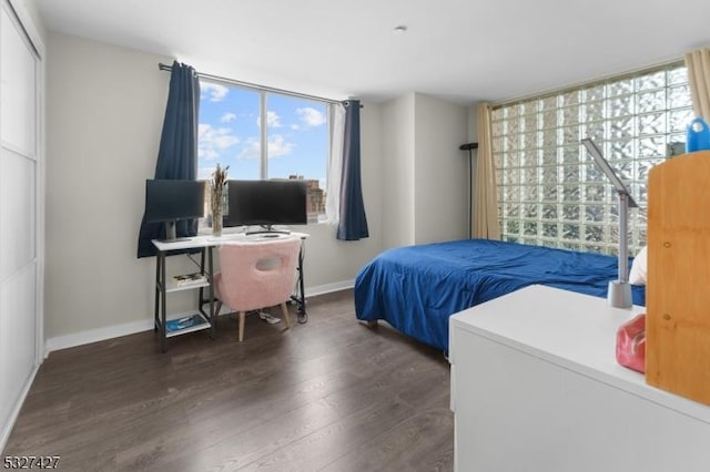 bedroom featuring multiple windows and dark wood-type flooring