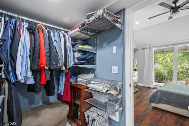 walk in closet featuring ceiling fan and dark wood-type flooring