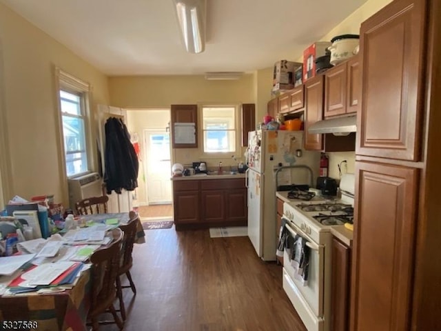 kitchen with dark hardwood / wood-style flooring, white appliances, and sink