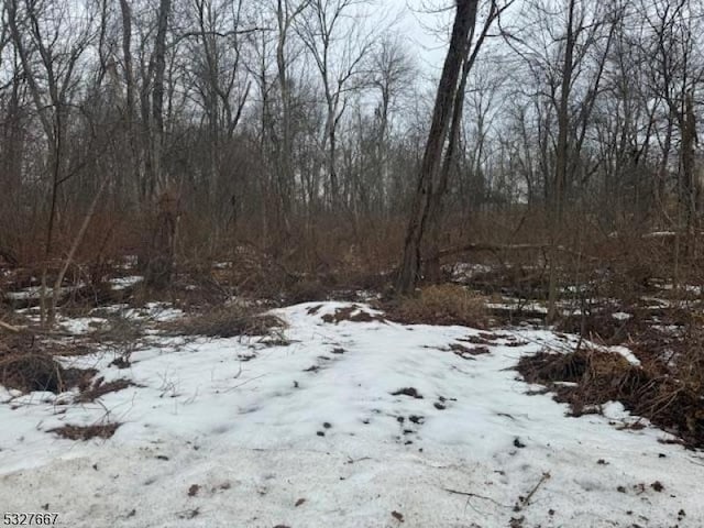 109 Poplar Ln, Vernon Twp NJ, 07422 land for sale