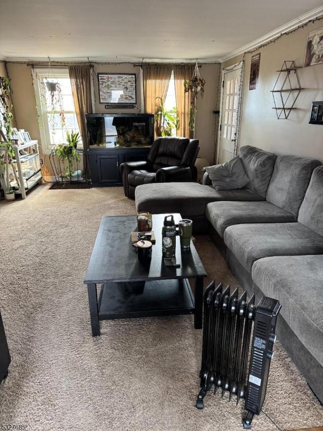 living room with carpet floors