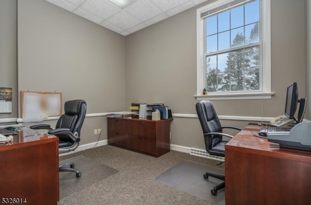 office featuring a paneled ceiling and carpet floors