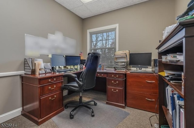 carpeted office with a drop ceiling