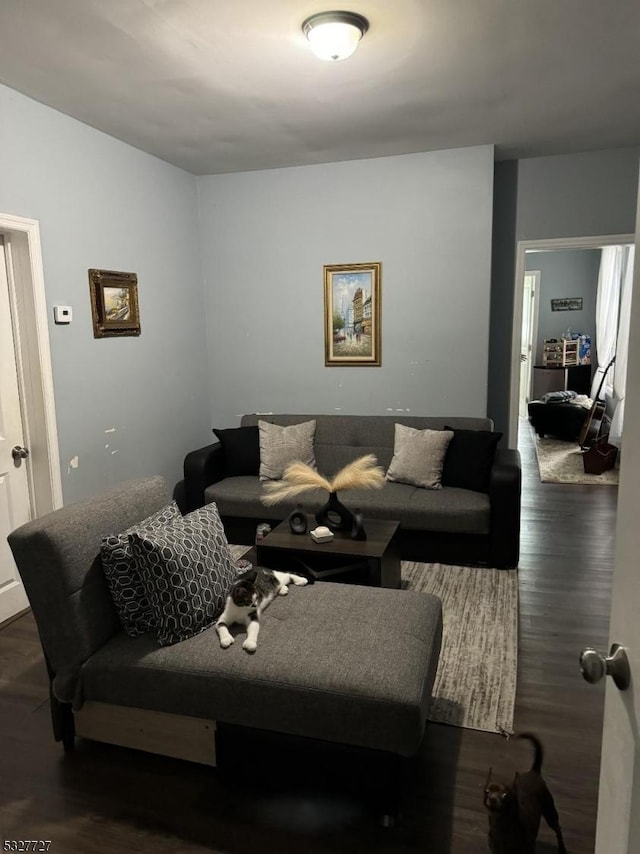 living room with dark hardwood / wood-style flooring