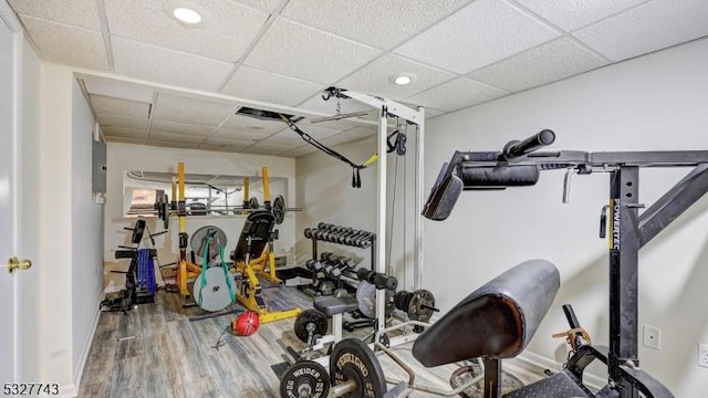 exercise room with hardwood / wood-style floors