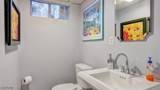 bathroom with toilet, a paneled ceiling, and sink