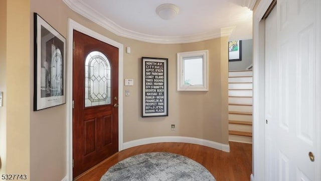 foyer featuring ornamental molding, wood-type flooring, and plenty of natural light