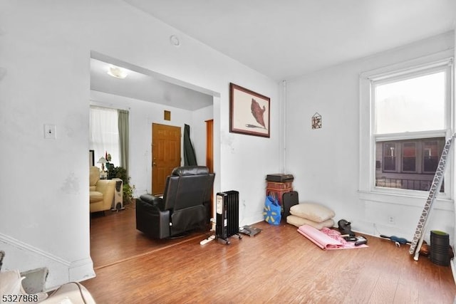 misc room featuring wood-type flooring