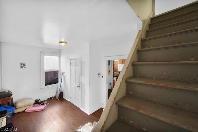 stairs featuring hardwood / wood-style floors