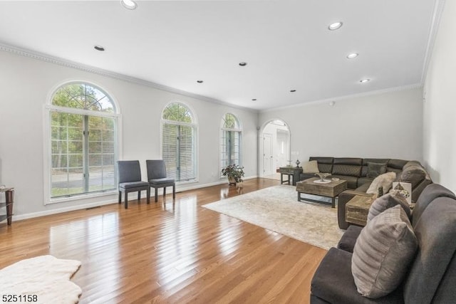 living room with crown molding and light hardwood / wood-style flooring