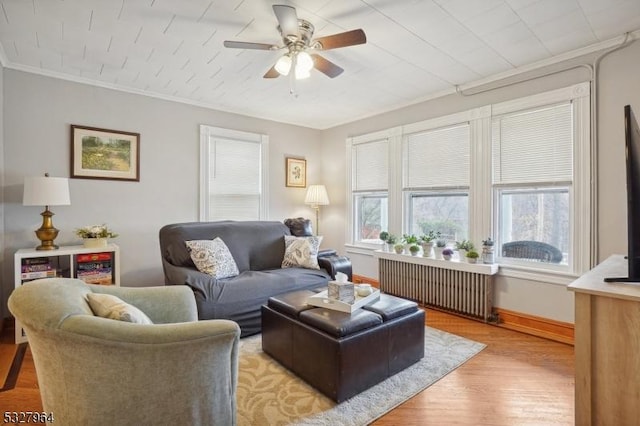 living room with ceiling fan, light wood-type flooring, crown molding, and radiator