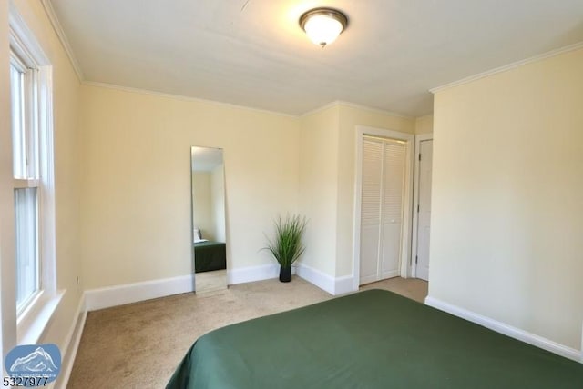 unfurnished bedroom with crown molding, carpet floors, and a closet