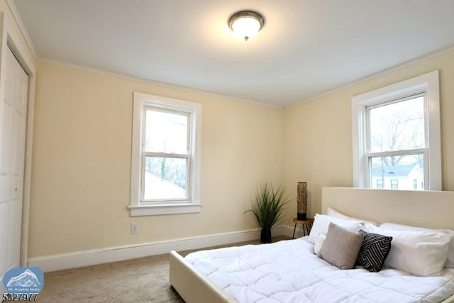 carpeted bedroom with multiple windows, crown molding, and a closet