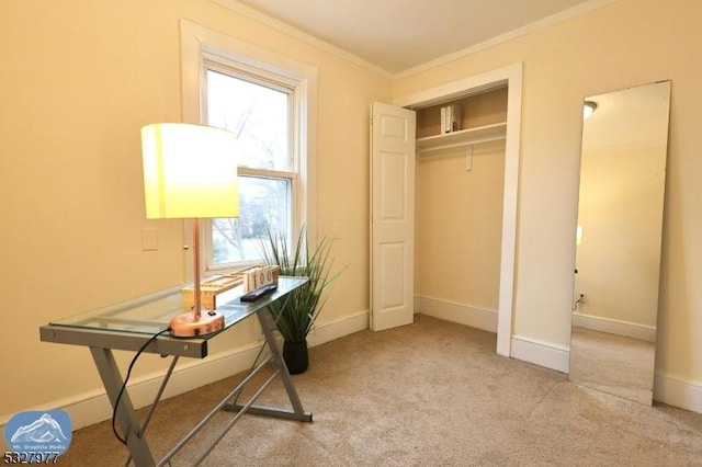 carpeted office space with crown molding