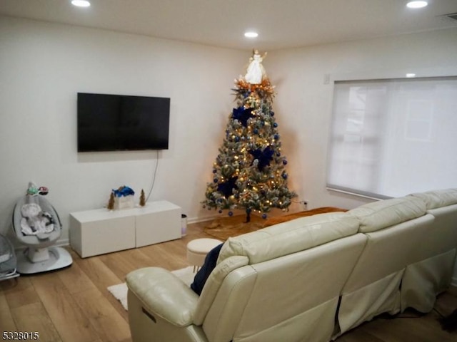 living room featuring hardwood / wood-style floors