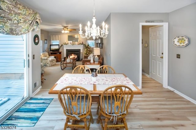 dining room featuring ceiling fan with notable chandelier and light hardwood / wood-style floors