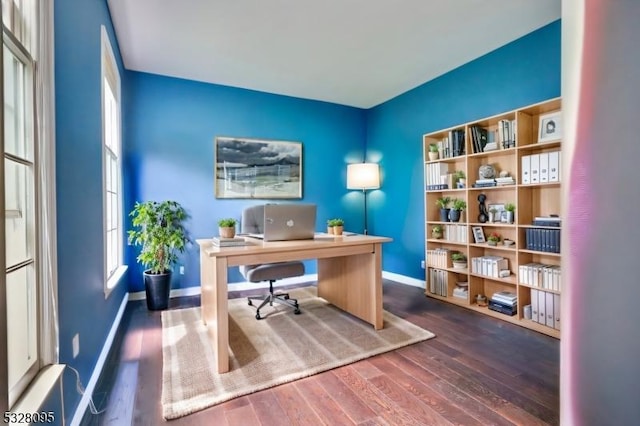 office featuring dark hardwood / wood-style flooring