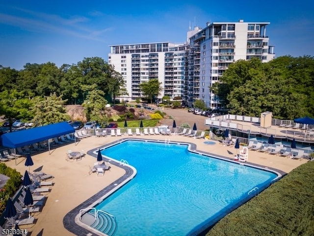 view of swimming pool with a patio area