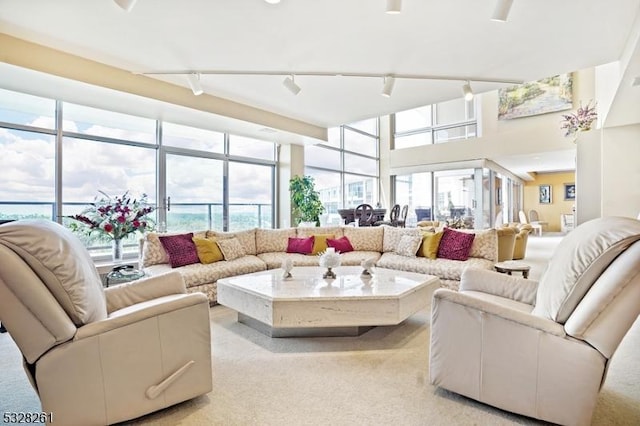 living room featuring light carpet, plenty of natural light, and rail lighting