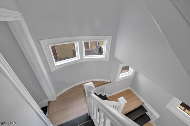 staircase with hardwood / wood-style flooring and a healthy amount of sunlight