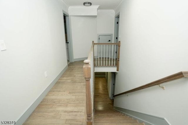 hallway with light hardwood / wood-style flooring and crown molding