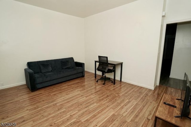 sitting room with light hardwood / wood-style floors