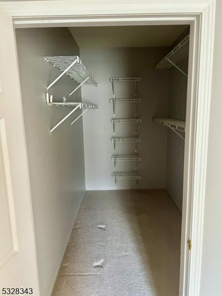 walk in closet featuring carpet flooring