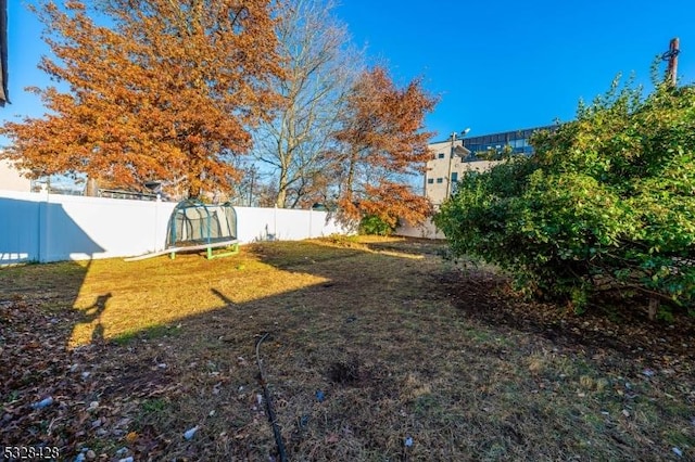 view of yard with a trampoline