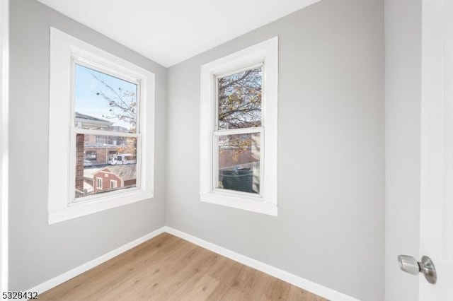 spare room featuring plenty of natural light and light wood-type flooring