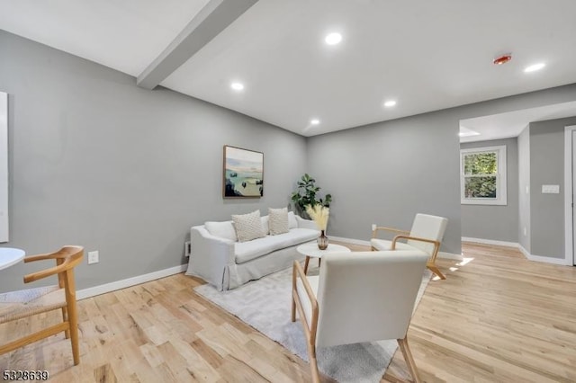 living room featuring light hardwood / wood-style floors