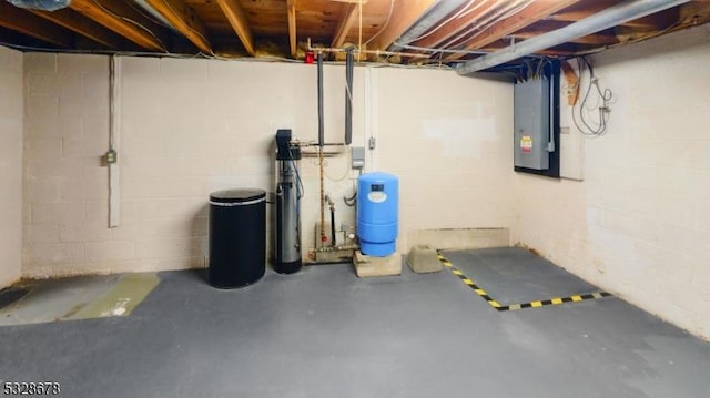 basement featuring electric panel