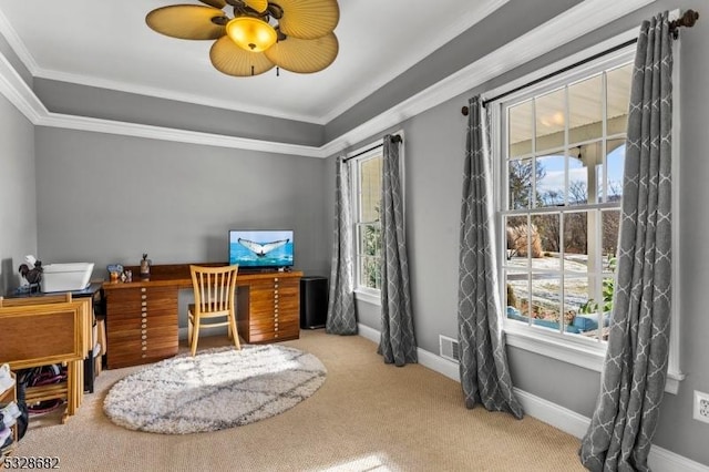 office space with ceiling fan, carpet, and crown molding