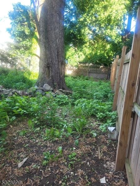 82 Palm St, Newark City, NJ 07106 - view of yard