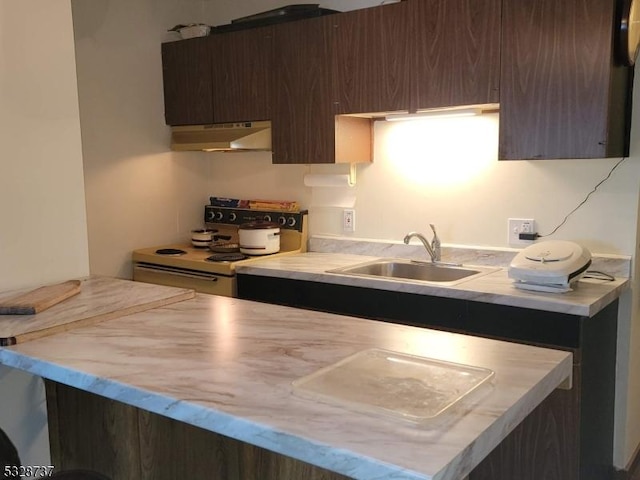 kitchen with dark brown cabinetry, sink, and white electric stove