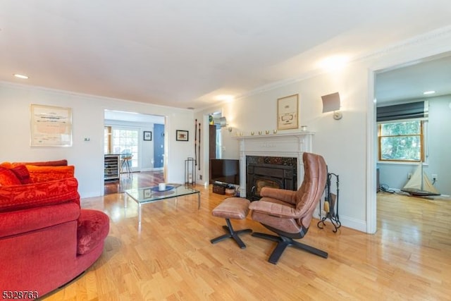 living room with a fireplace, hardwood / wood-style floors, and ornamental molding