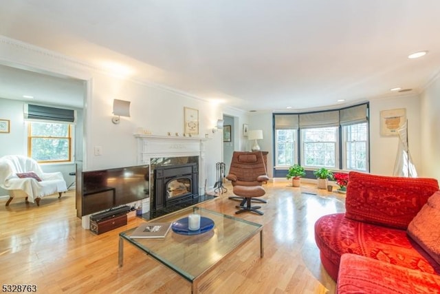 living room featuring hardwood / wood-style floors and ornamental molding