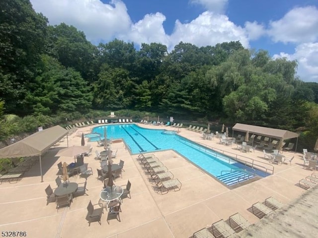 view of swimming pool featuring a patio