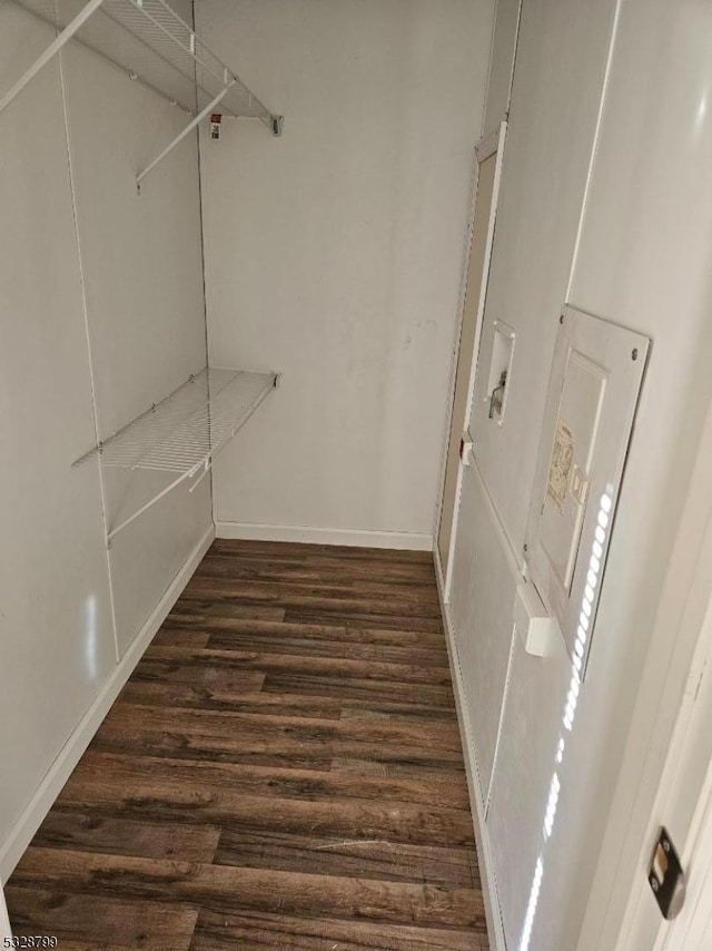 walk in closet featuring dark hardwood / wood-style floors