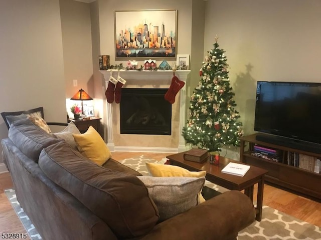 living room with light hardwood / wood-style flooring