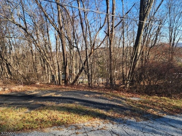 15 Lakeview Dr, Wantage Twp NJ, 07461 land for sale