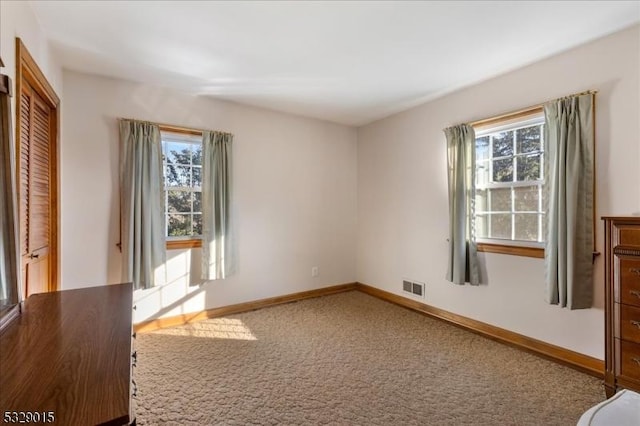 spare room featuring carpet and a wealth of natural light