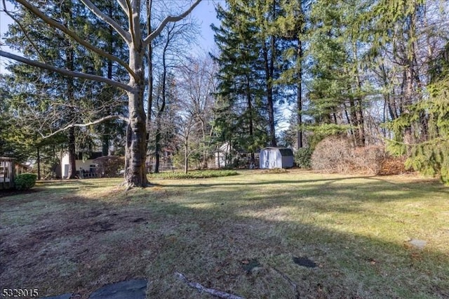 view of yard featuring a shed